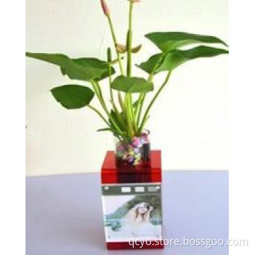China Professional Export Square Glass Acrylic Vase